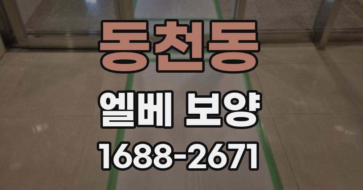 동천동 엘베 보양