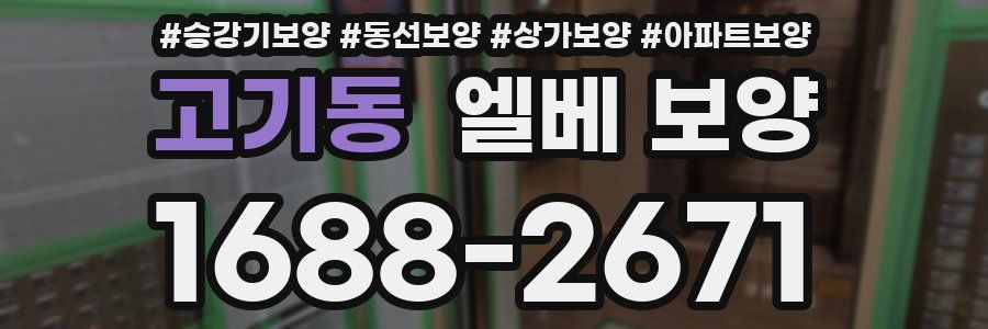 고기동 엘베 보양