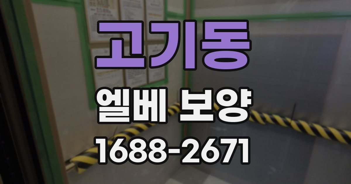 고기동 엘베 보양
