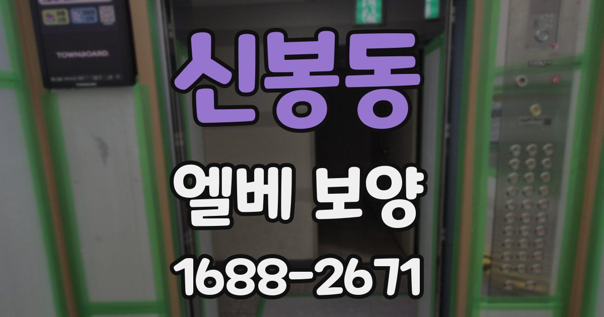 신봉동 엘베 보양