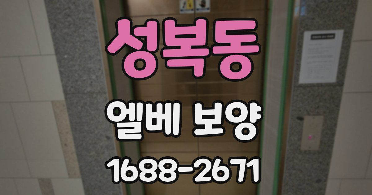 성복동 엘베 보양