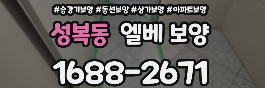 성복동 엘베 보양