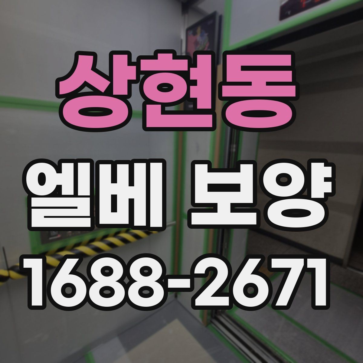 상현동 엘베 보양 유리 패널이 있는 승강기에서 볼 항목