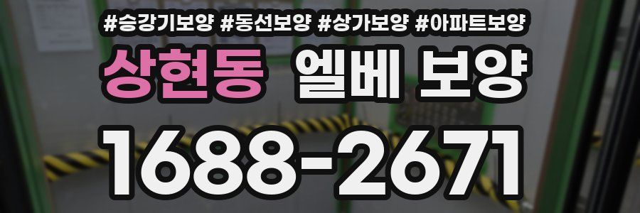 상현동 엘베 보양