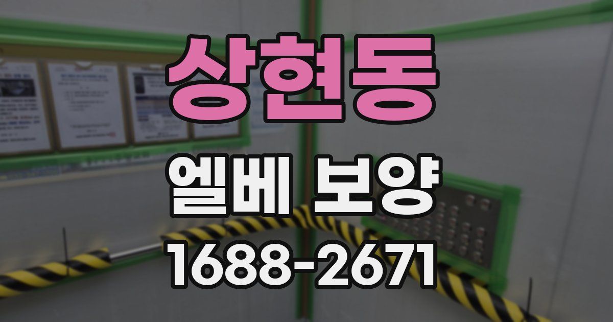 상현동 엘베 보양