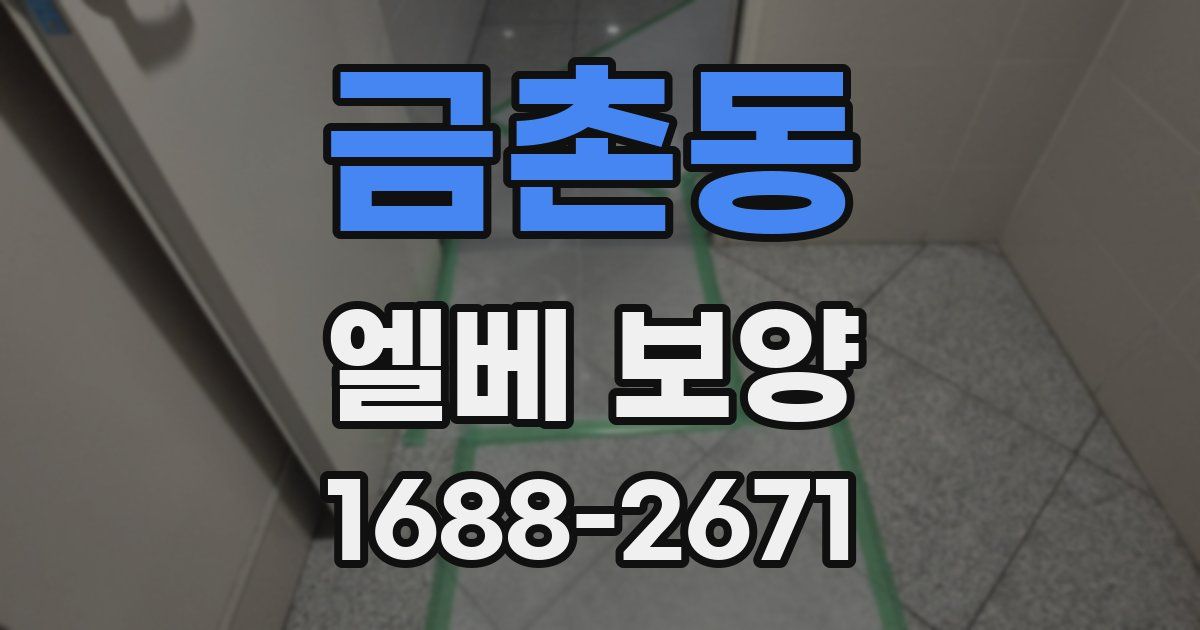금촌동 엘베 보양