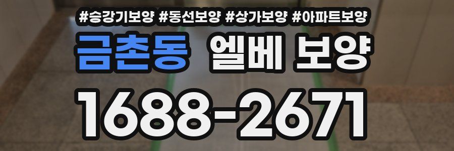 금촌동 엘베 보양