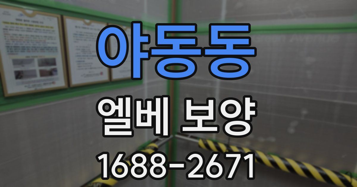야동동 엘베 보양