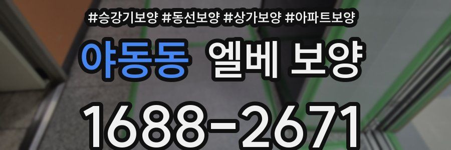 야동동 엘베 보양