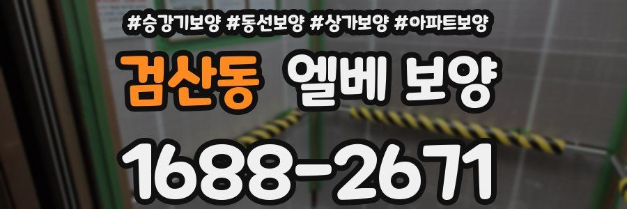 검산동 엘베 보양