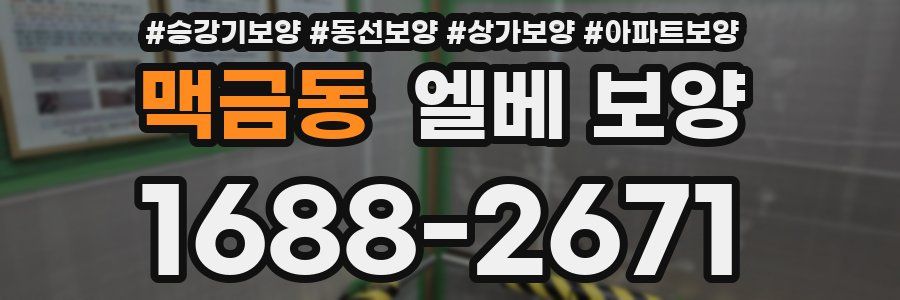 맥금동 엘베 보양