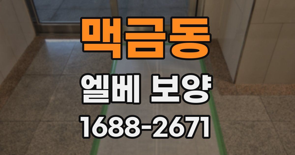 맥금동 엘베 보양