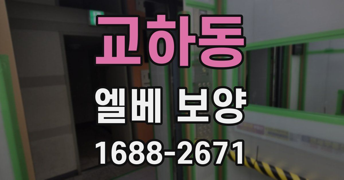 교하동 엘베 보양