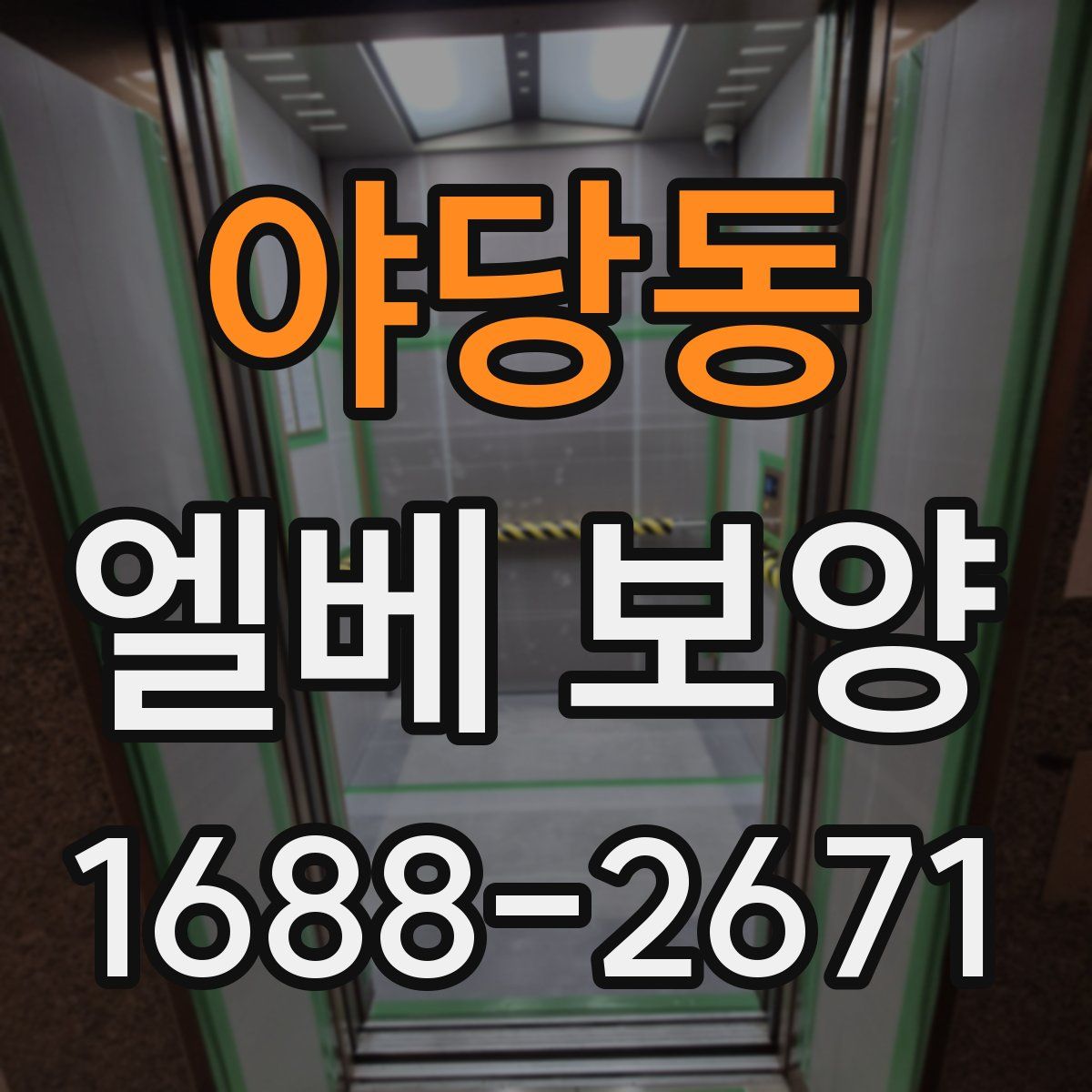 야당동 엘베 보양
