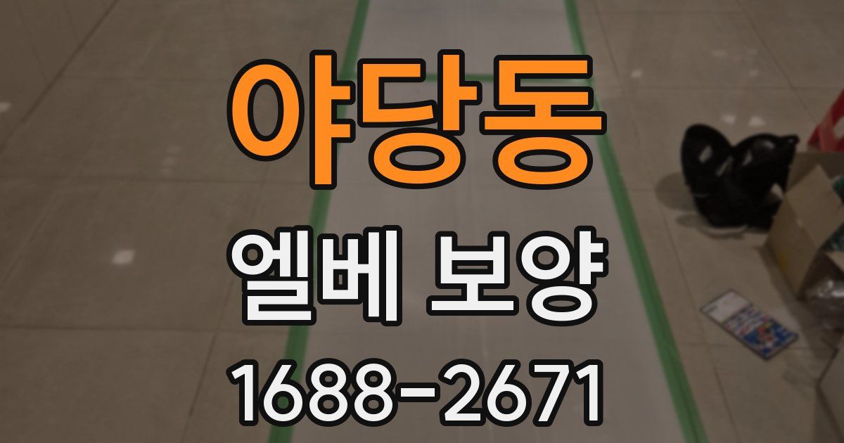 야당동 엘베 보양
