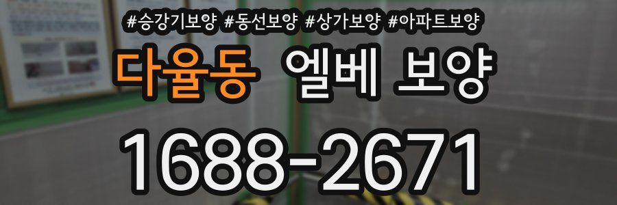 다율동 엘베 보양