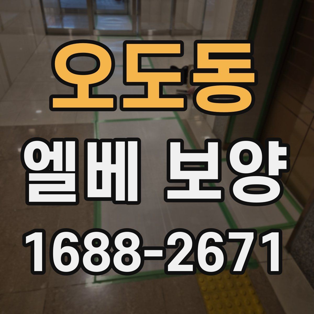 오도동 엘베 보양 공사 분진 많은 환경에서도 청결을 유지하는 법