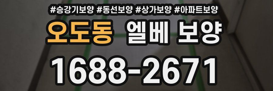오도동 엘베 보양