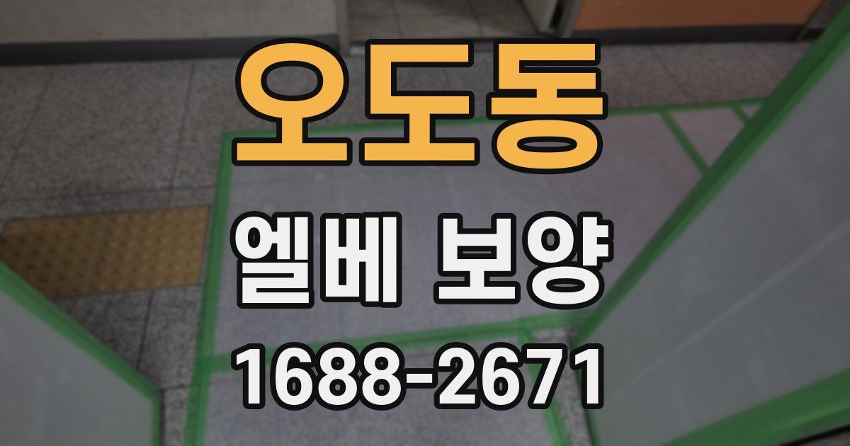 오도동 엘베 보양