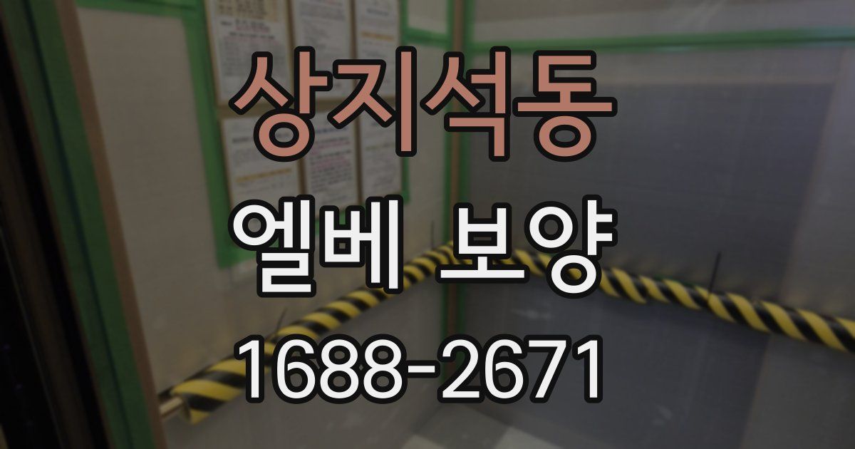 상지석동 엘베 보양