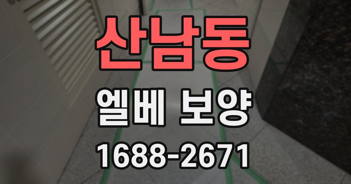 산남동 엘베 보양
