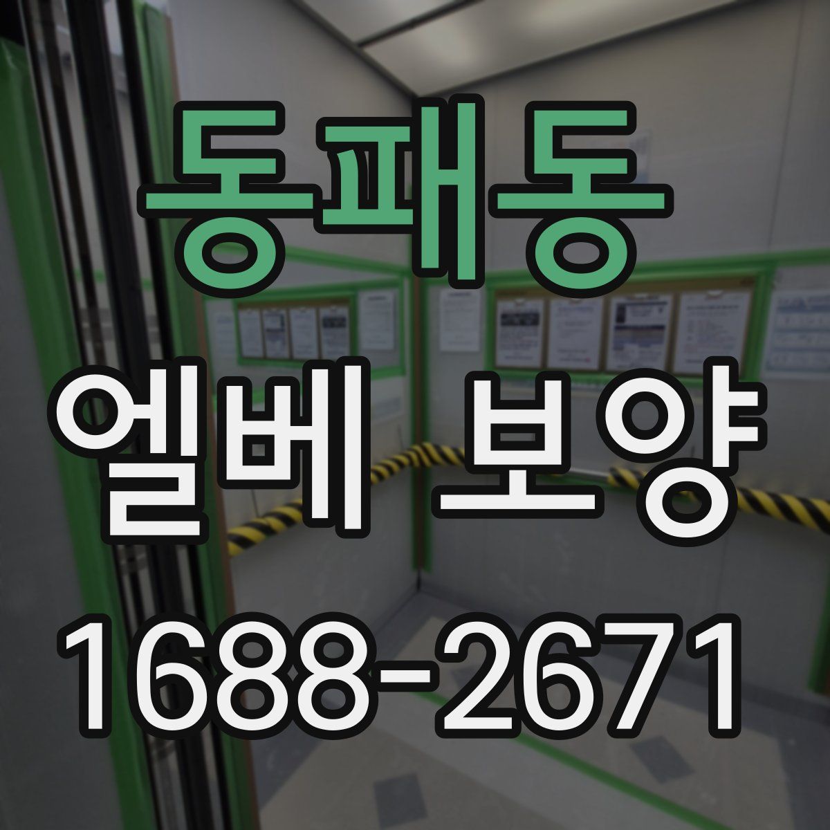 동패동 엘베 보양