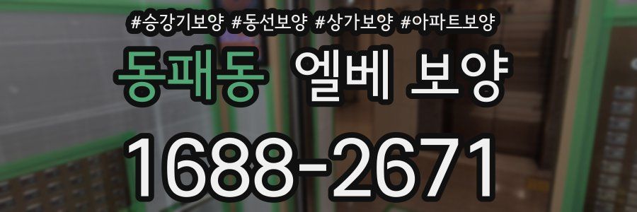동패동 엘베 보양