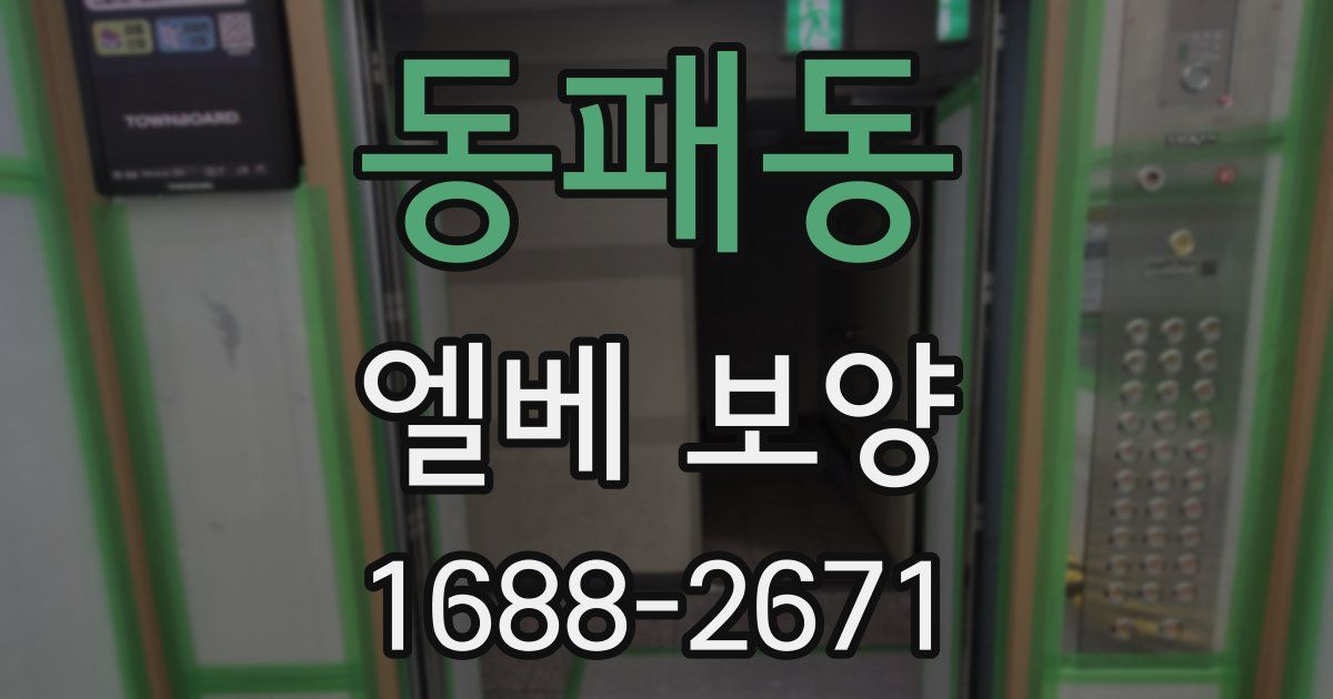 동패동 엘베 보양