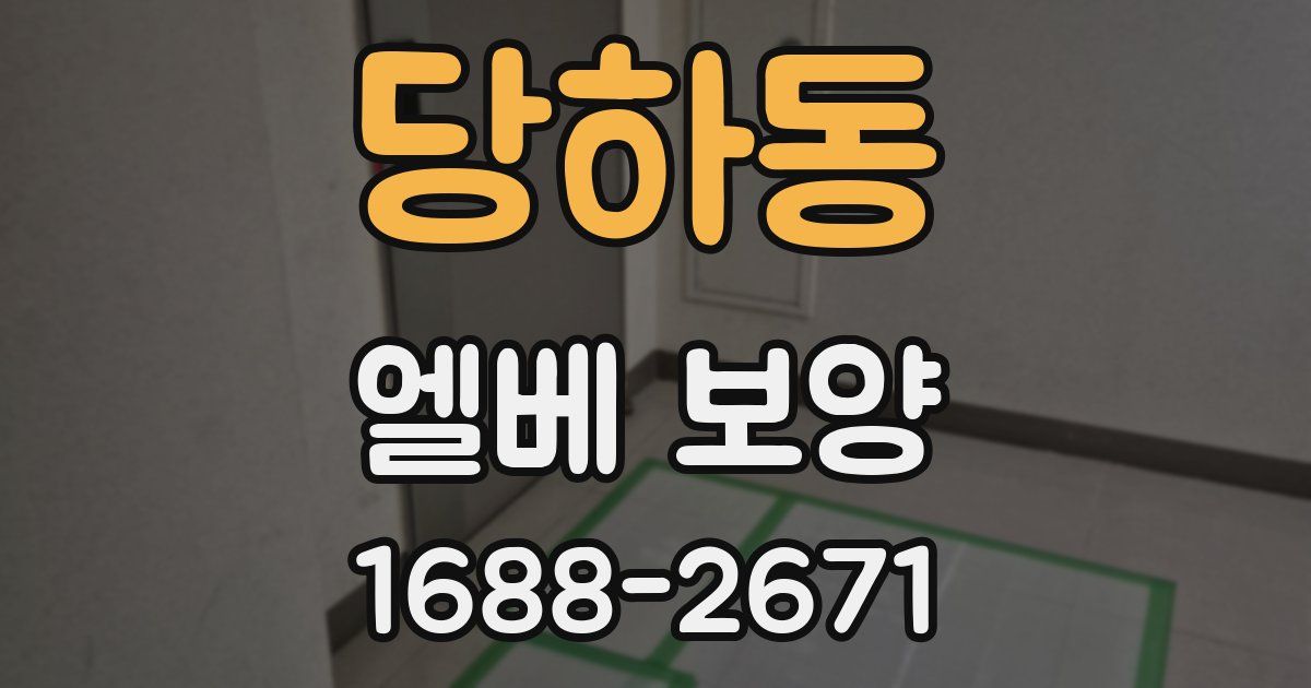 당하동 엘베 보양