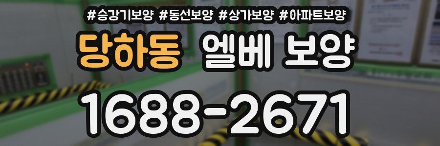 당하동 엘베 보양