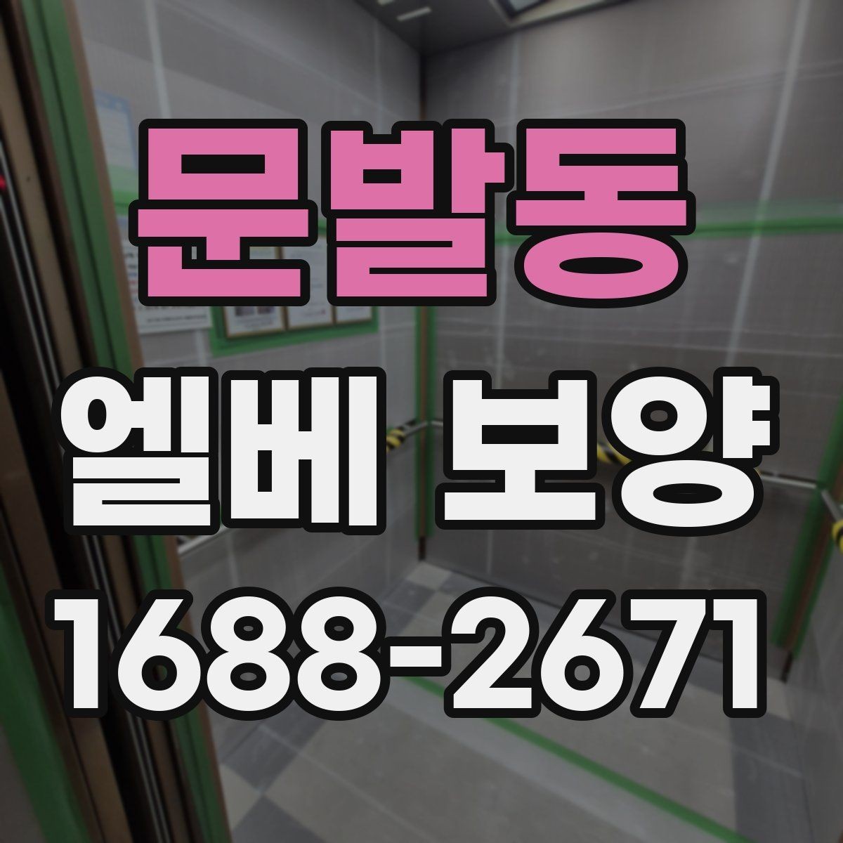 문발동 엘베 보양 공용시설에서 안전과 청결을 함께 지키는 방법