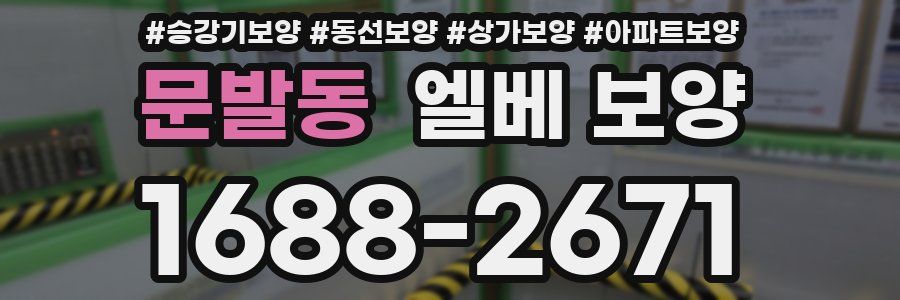 문발동 엘베 보양