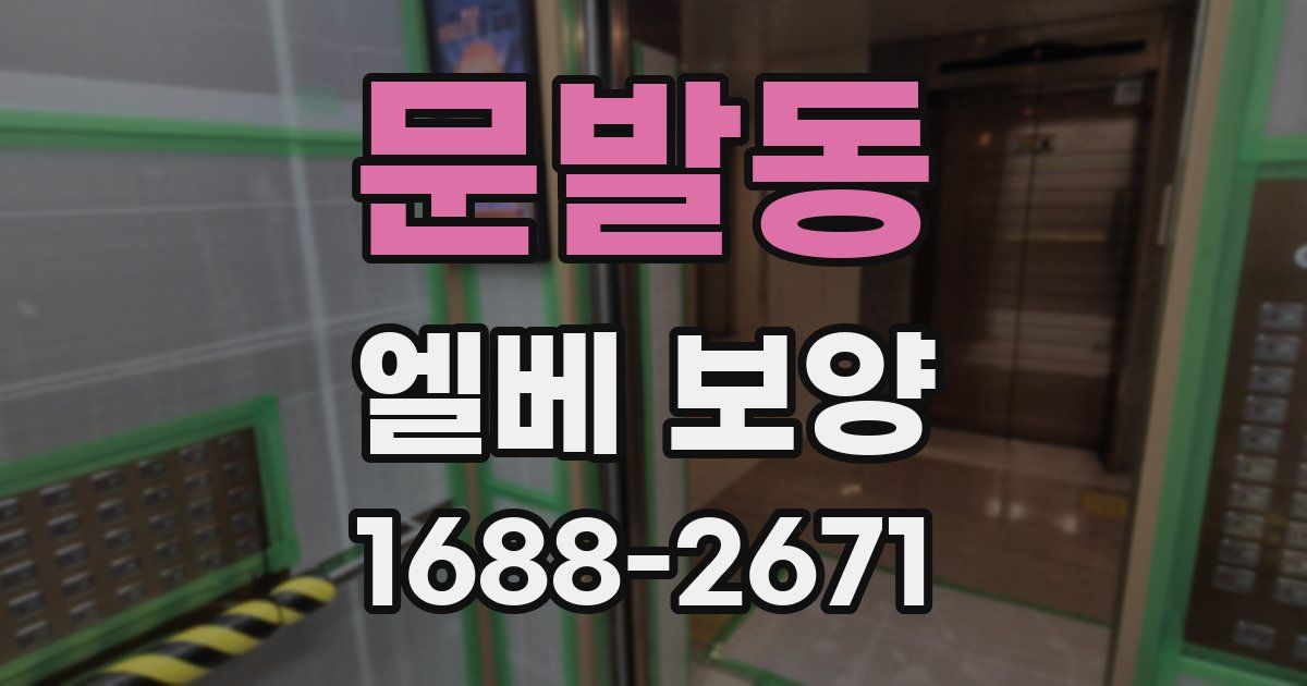 문발동 엘베 보양