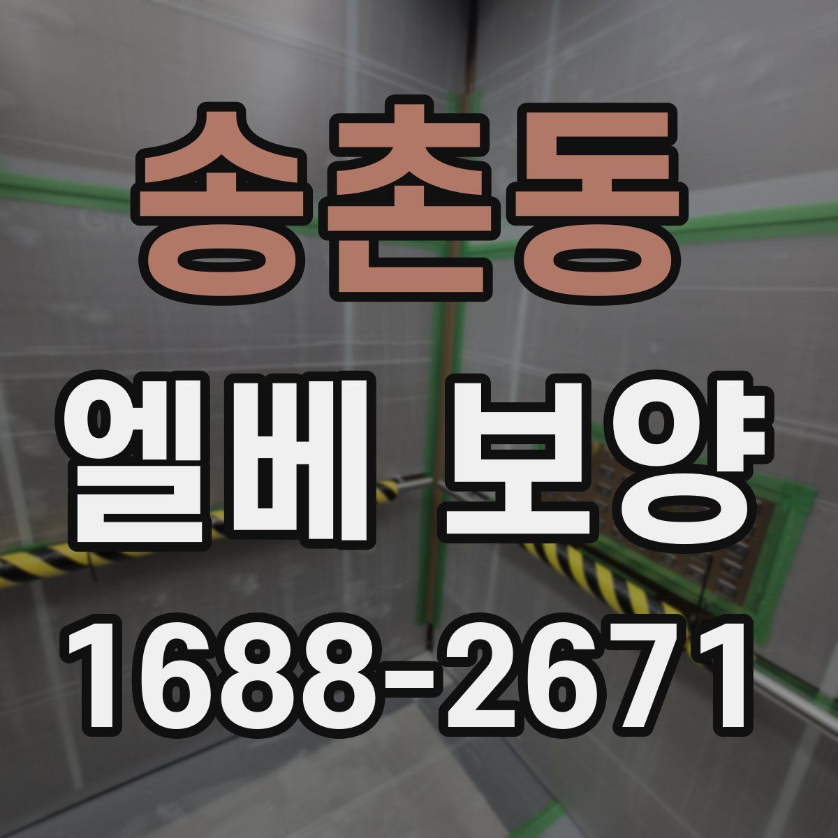 송촌동 엘베 보양