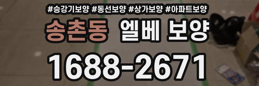 송촌동 엘베 보양