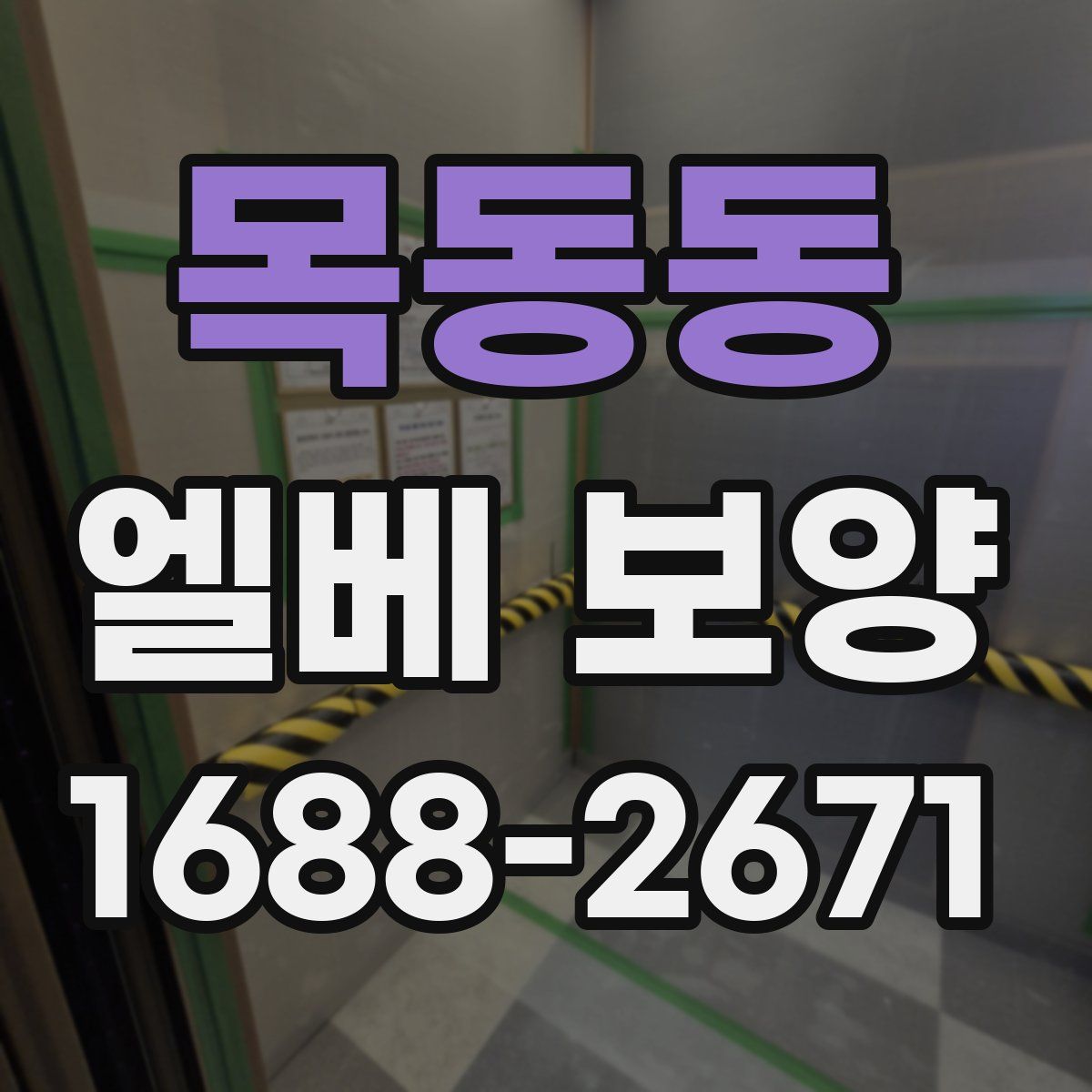 목동동 엘베 보양