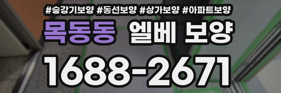 목동동 엘베 보양