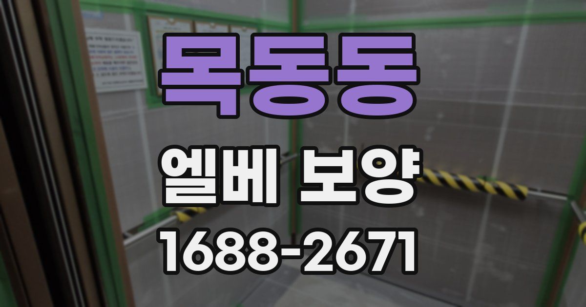 목동동 엘베 보양