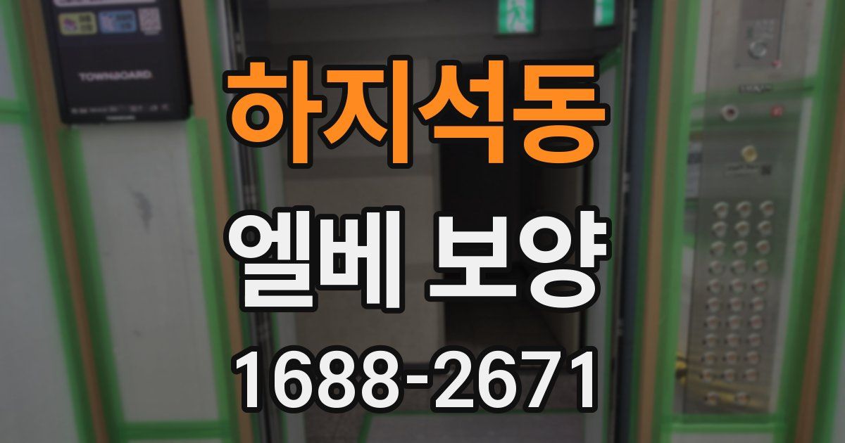 하지석동 엘베 보양