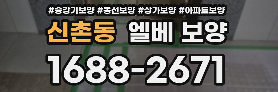 신촌동 엘베 보양