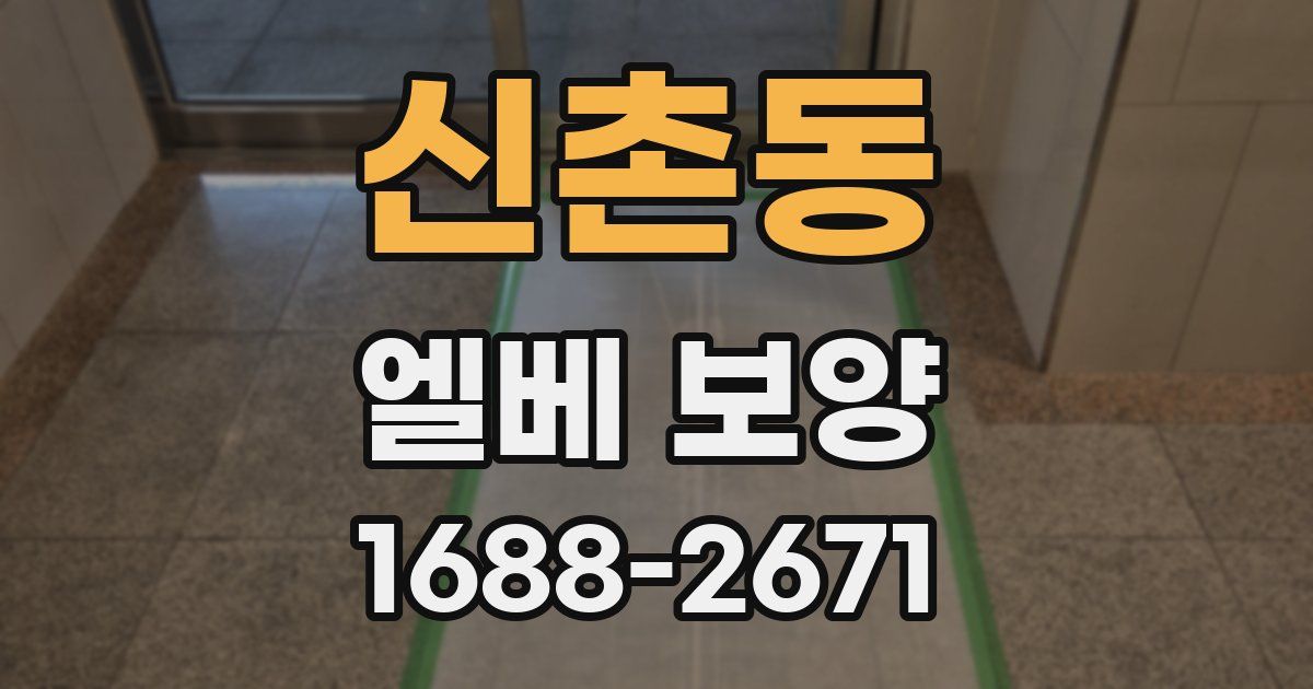 신촌동 엘베 보양