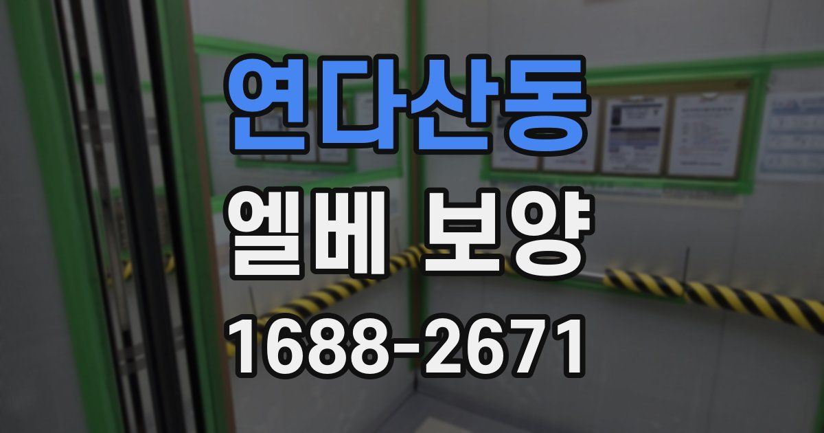 연다산동 엘베 보양