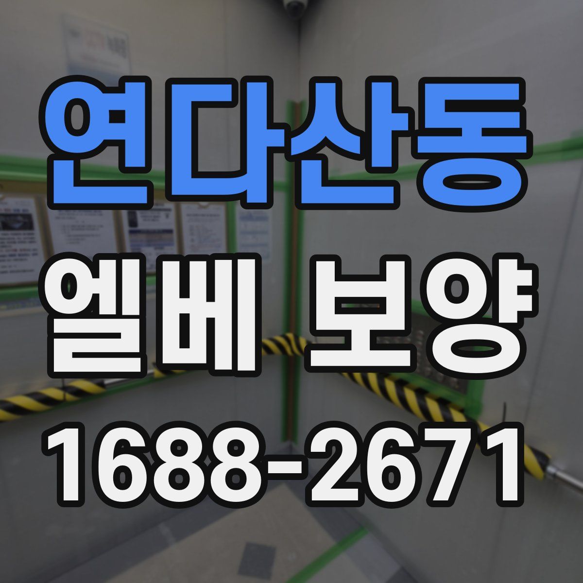 연다산동 엘베 보양