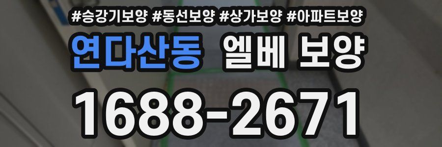 연다산동 엘베 보양