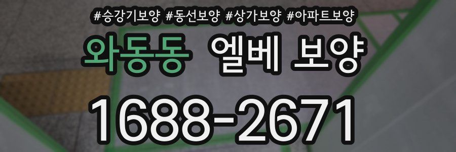 와동동 엘베 보양