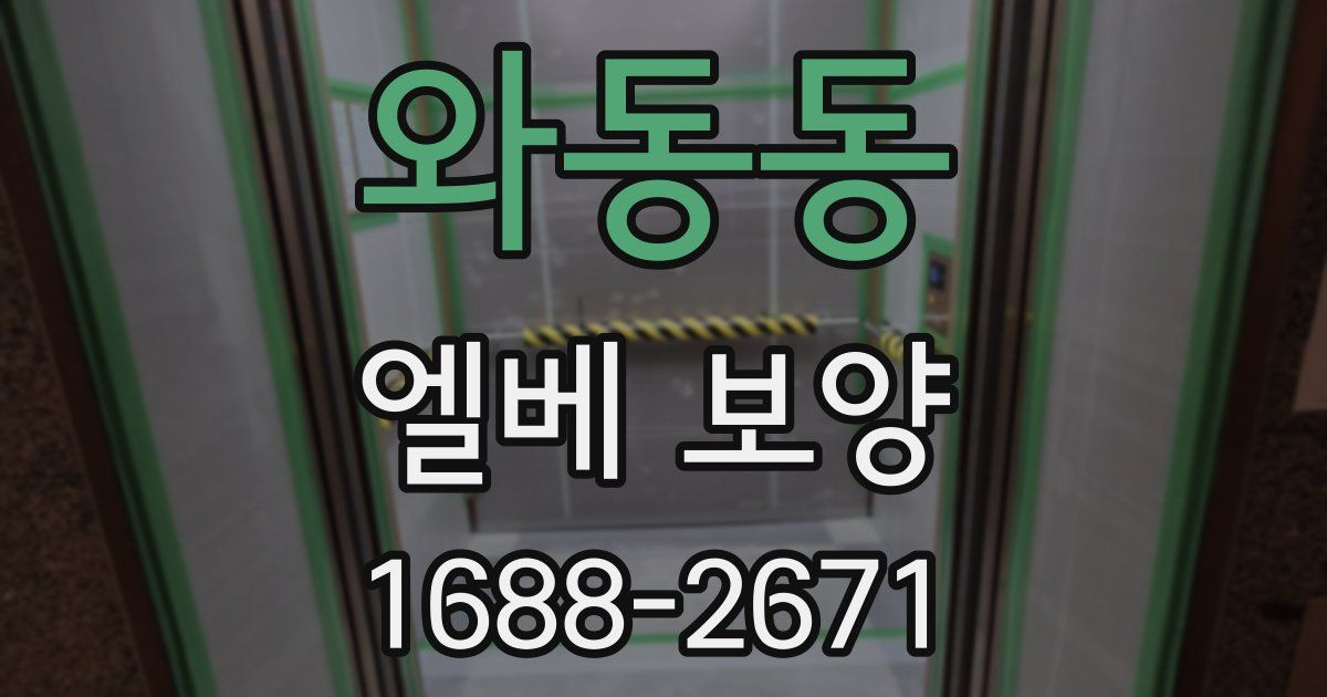 와동동 엘베 보양