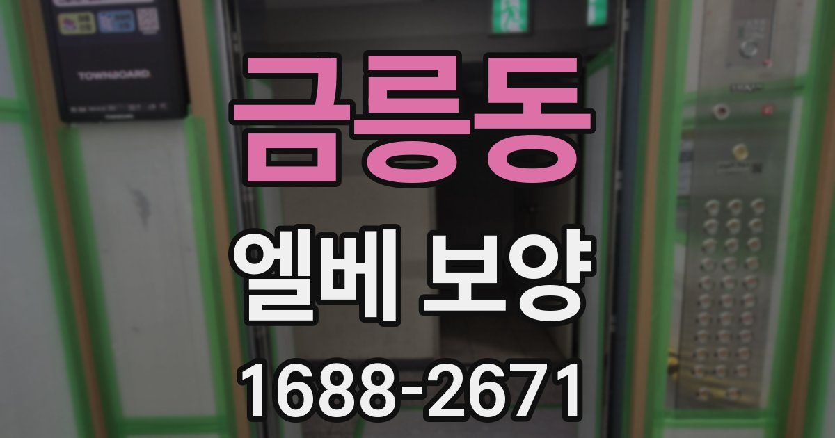 금릉동 엘베 보양