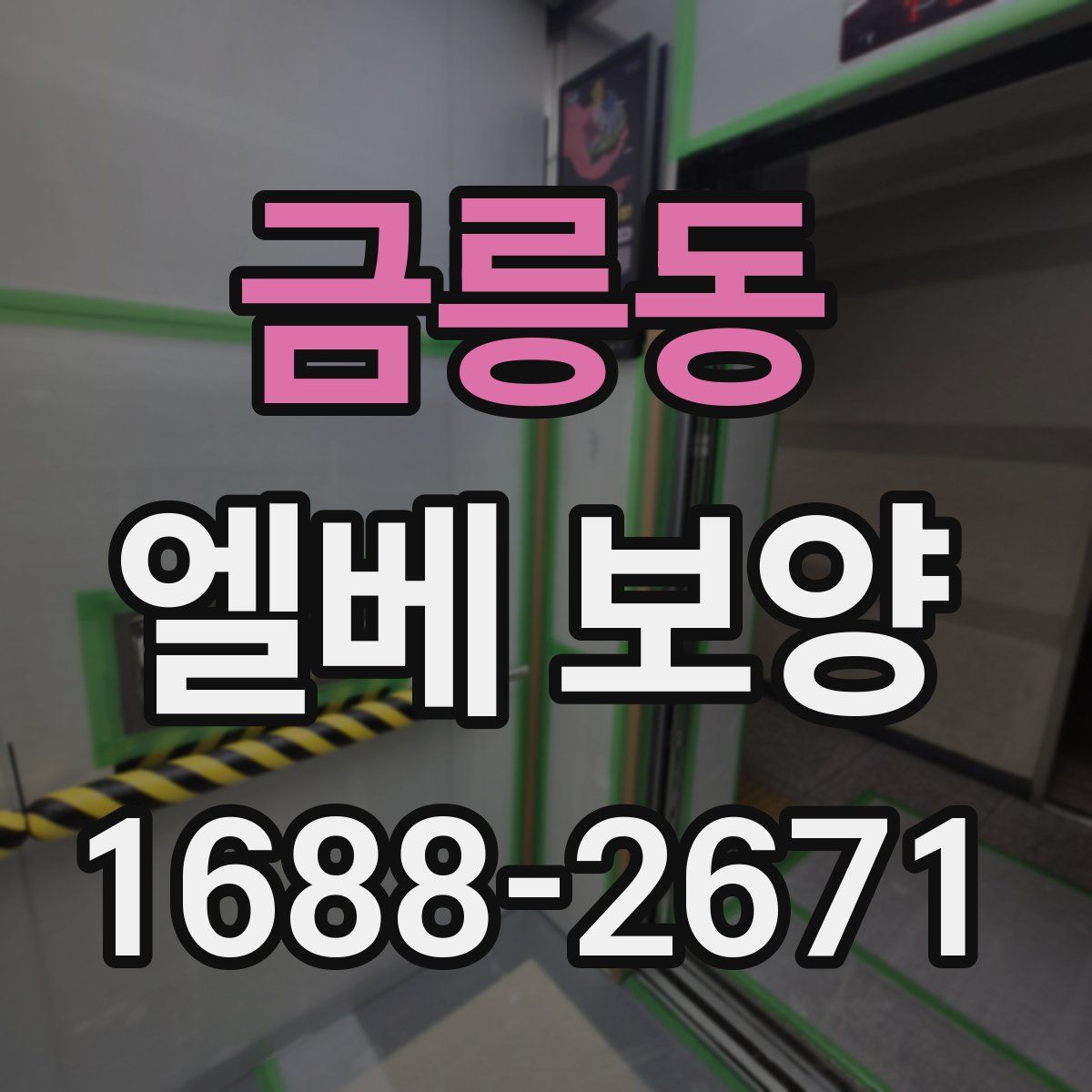 금릉동 엘베 보양