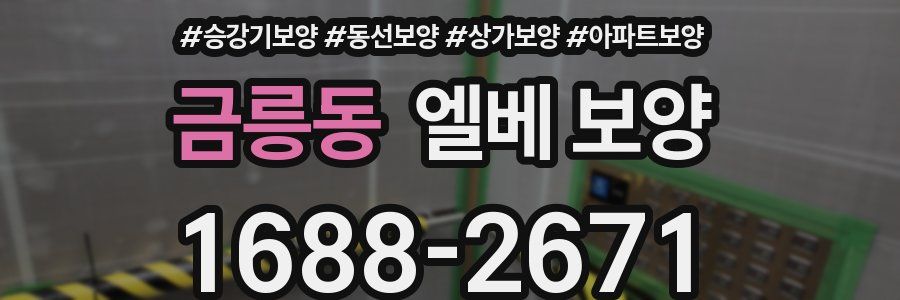 금릉동 엘베 보양