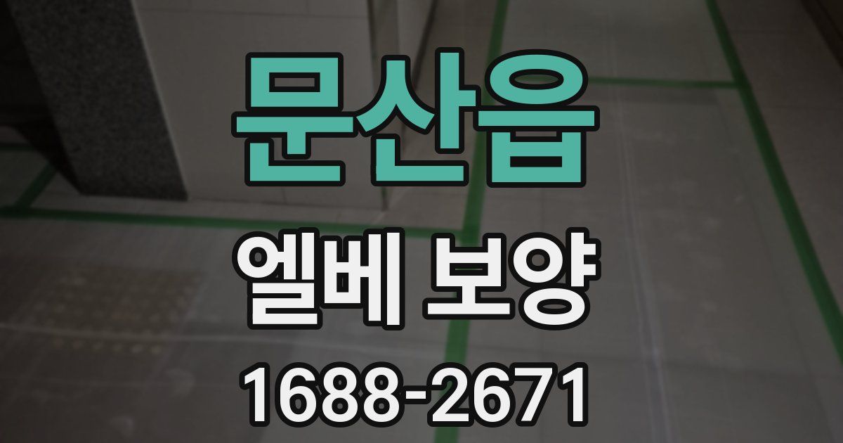 문산읍 엘베 보양